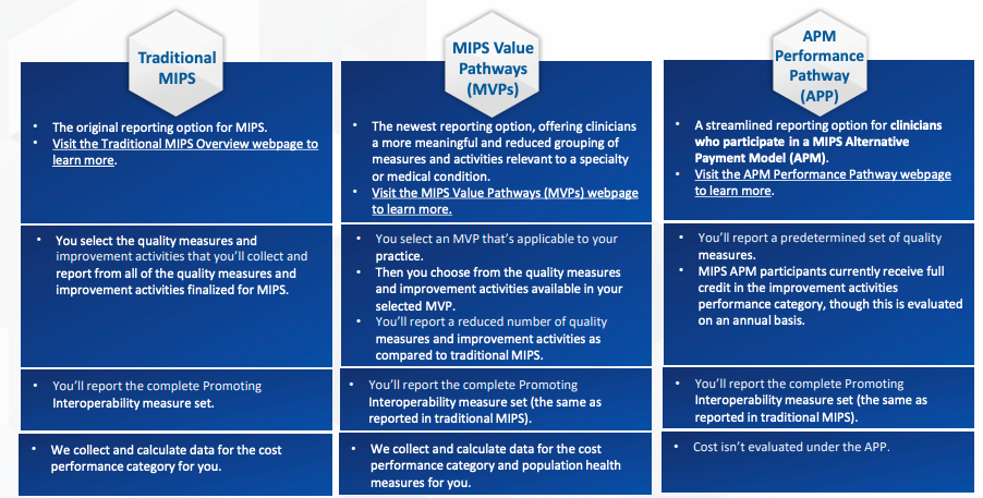 MIPS (2024) Overview Image 1.png