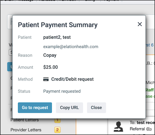 screengrab showing patient payment summary