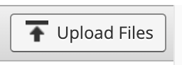 Upload Files button.png