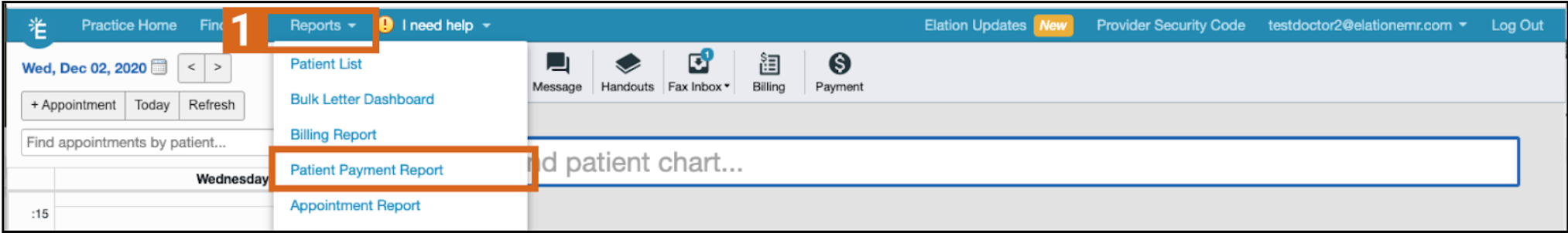 Patient Payment Report screenshot